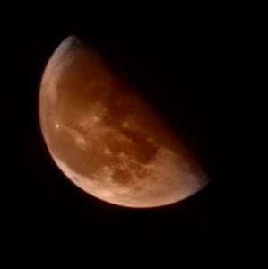 Meet your Posher, Bill